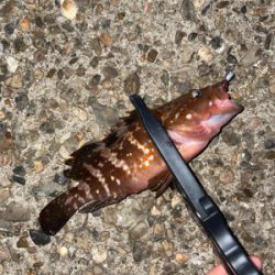 ライトロックゲーム