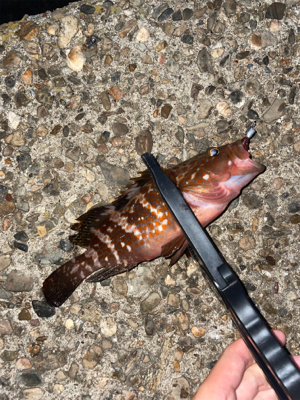 ライトロックゲーム