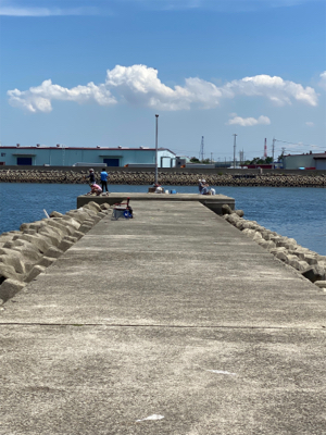 ちょい投げ、キス釣り