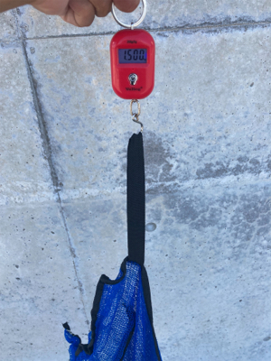 HS蛸散歩。11杯。。