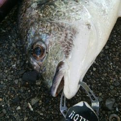 『釣りデビュー(^^)』216