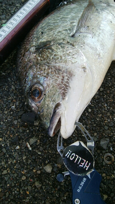 『釣りデビュー(^^)』216