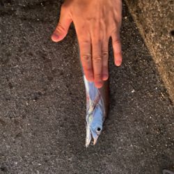 ベイトっけはなかったけど、