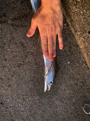 ベイトっけはなかったけど、