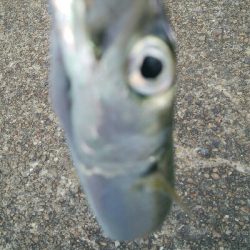 『釣りデビュー♡』217