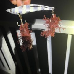 ショアジギング