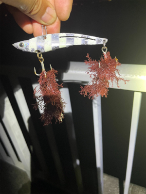 ショアジギング