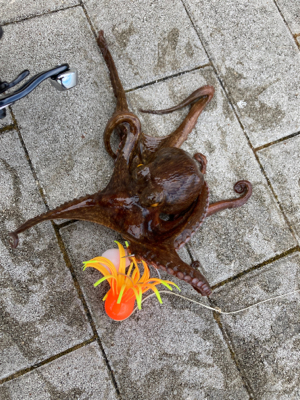 強風＆潮流に泣かされ何とか3杯。。。