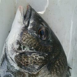 『釣りデビュー☆』218