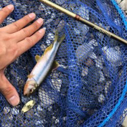 釣りキャン&ネイティブトラウト