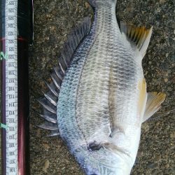 『釣りデビュー♬♬♬』219