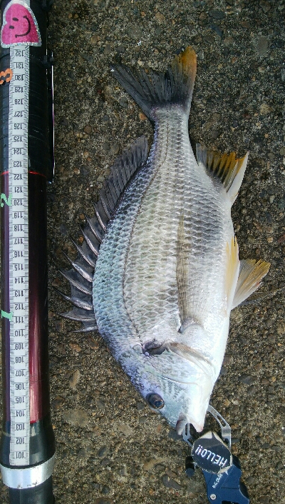 『釣りデビュー♬♬♬』219