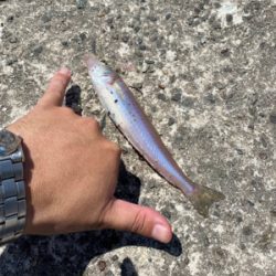 灼熱堤防でキス