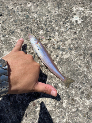 灼熱堤防でキス