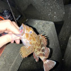 釣り場が減ってます…