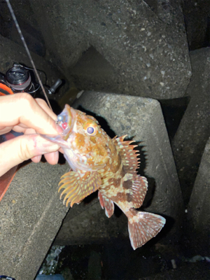 釣り場が減ってます…
