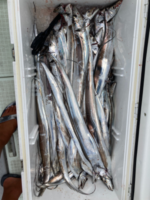 太刀魚ジギング