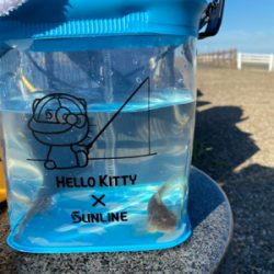 キス釣り、ハゼ釣り