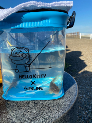 キス釣り、ハゼ釣り