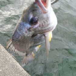 『釣りデビュー(^o^』220