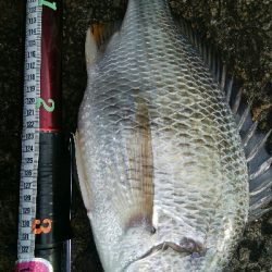 『釣りデビュー♬♬♬』221