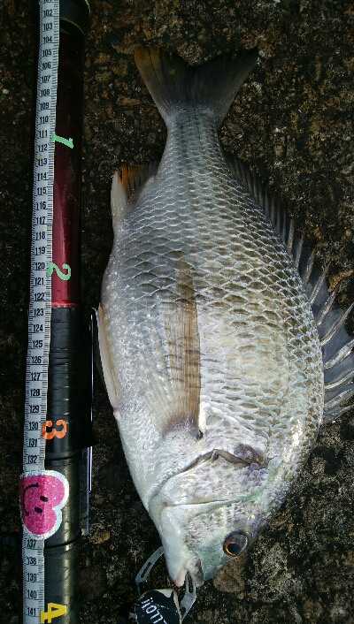 『釣りデビュー♬♬♬』221