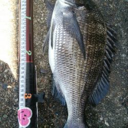 『釣りデビュー♡』222日目