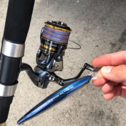 久しぶりの青物！ちっちゃいけど（笑）