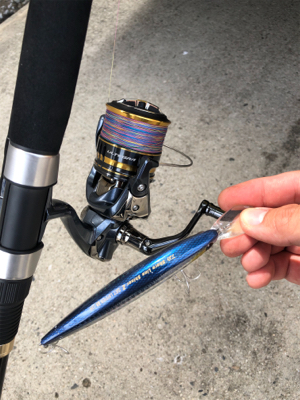 久しぶりの青物！ちっちゃいけど（笑）