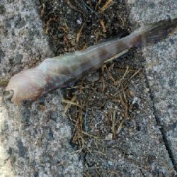 暑い。。雨の前に。