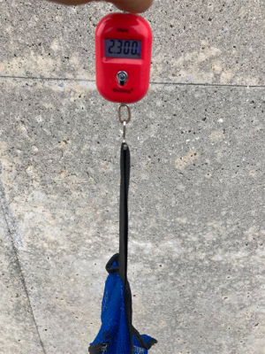 台風明けHC蛸散歩。11杯。。。