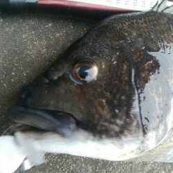 『釣りデビュー(≧∇≦)』223