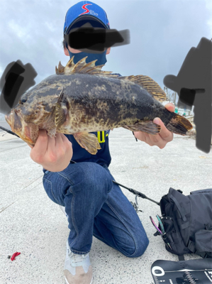 夏ベッコウゾイ