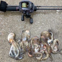 ⭐︎アメニモマケズ