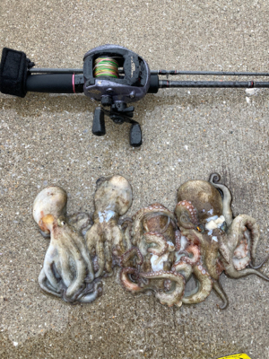 ⭐︎アメニモマケズ