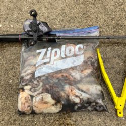 ⭐︎心地良い重み