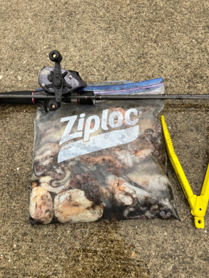 ⭐︎心地良い重み