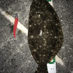 オレンジは強い！