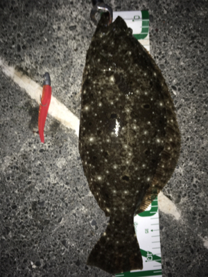 オレンジは強い！