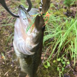 雨できつかった