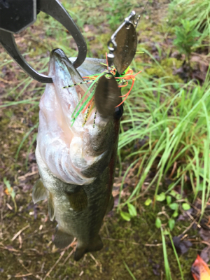雨できつかった