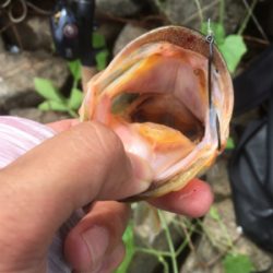 真昼間の布目ダム