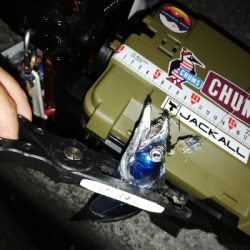 太刀魚テンヤ@貝塚