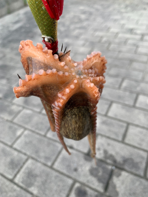 やっと、晴れ間が!