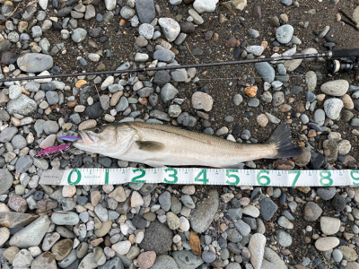 糸魚川　サーフ　