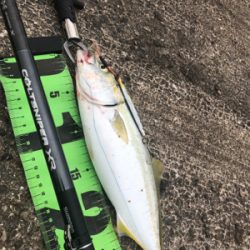 ショアジギング