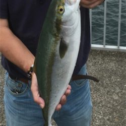 大蔵リベンジャーズ