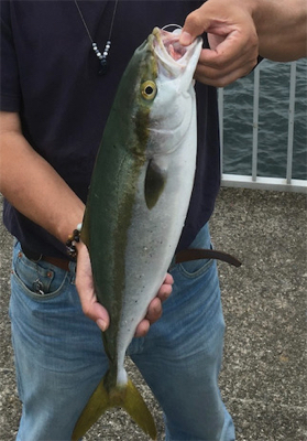 大蔵リベンジャーズ