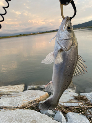 1ヶ月半振りの釣行
