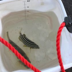 雨がやんだので